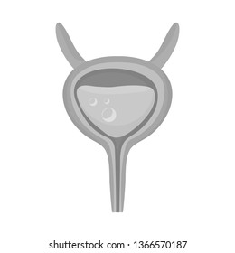 Isolated object of incontinence and bladder symbol. Set of incontinence and urine  vector icon for stock.