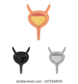 Isolated object of incontinence and bladder symbol. Collection of incontinence and urine  stock vector illustration.