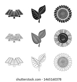 Isolated object of innovation and technology sign. Set of innovation and nature vector icon for stock.