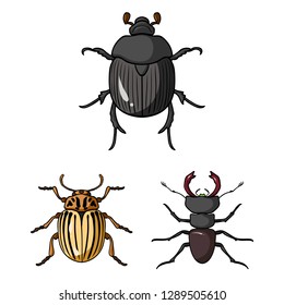 Isolated object of insect and beetle icon. Collection of insect and halloween vector icon for stock.