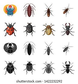 Isolated object of insect and beetle icon. Set of insect and halloween vector icon for stock.