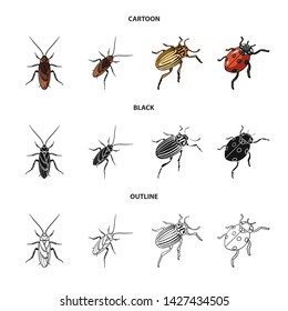 Isolated object of insect and beetle icon. Collection of insect and halloween vector icon for stock.