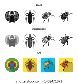 Isolated object of insect and beetle icon. Set of insect and halloween vector icon for stock.