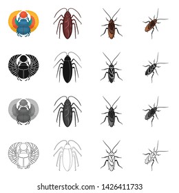 Isolated object of insect and beetle logo. Collection of insect and halloween stock symbol for web.