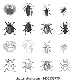 Isolated object of insect and beetle logo. Collection of insect and halloween stock vector illustration.