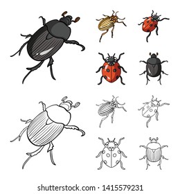 Isolated object of insect and beetle sign. Collection of insect and halloween stock vector illustration.