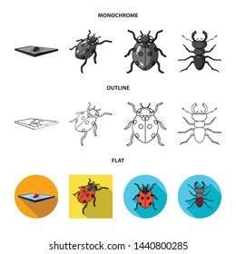 Isolated object of insect and beetle sign. Set of insect and halloween stock symbol for web.