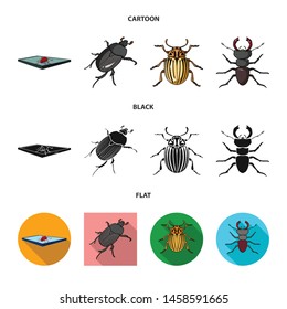 Isolated object of insect and beetle sign. Collection of insect and halloween stock vector illustration.