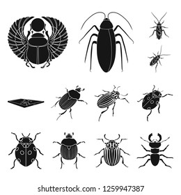 Isolated object of insect and beetle symbol. Collection of insect and halloween stock symbol for web.