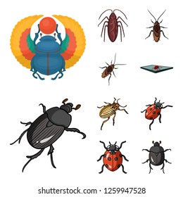 Isolated object of insect and beetle symbol. Set of insect and halloween vector icon for stock.