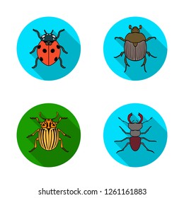 Isolated object of insect and beetle symbol. Set of insect and halloween vector icon for stock.