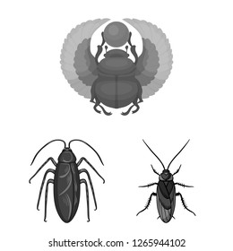Isolated object of insect and beetle symbol. Set of insect and halloween vector icon for stock.