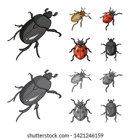 Isolated object of insect and beetle symbol. Set of insect and halloween stock vector illustration.