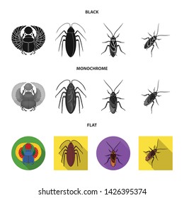 Isolated object of insect and beetle symbol. Set of insect and halloween vector icon for stock.