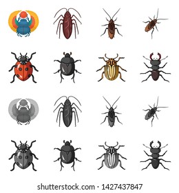 Isolated object of insect and beetle symbol. Set of insect and halloween stock vector illustration.