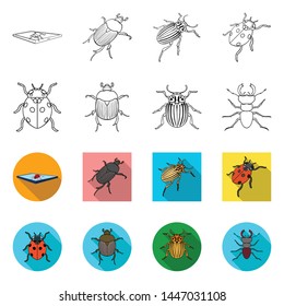 Isolated object of insect and beetle symbol. Set of insect and halloween stock vector illustration.