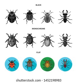 Isolated object of insect and beetle symbol. Set of insect and halloween vector icon for stock.