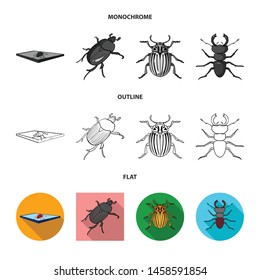 Isolated object of insect and beetle symbol. Collection of insect and halloween vector icon for stock.