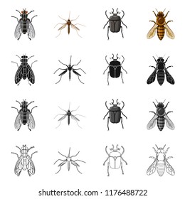 Isolated object of insect and fly icon. Set of insect and element vector icon for stock.