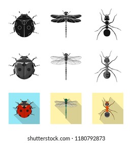 Isolated object of insect and fly icon. Collection of insect and element stock vector illustration.
