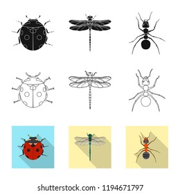 Isolated object of insect and fly icon. Collection of insect and element vector icon for stock.