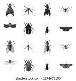 Isolated object of insect and fly icon. Collection of insect and element stock symbol for web.