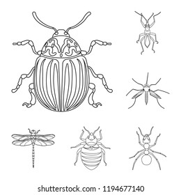 Isolated object of insect and fly icon. Collection of insect and element stock vector illustration.