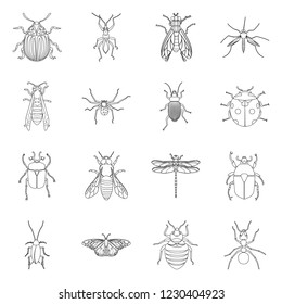 Isolated object of insect and fly icon. Set of insect and element stock vector illustration.