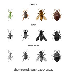 Isolated object of insect and fly icon. Set of insect and element vector icon for stock.