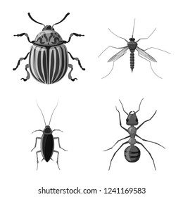 Isolated object of insect and fly icon. Collection of insect and element stock vector illustration.