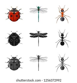 Isolated object of insect and fly icon. Set of insect and element vector icon for stock.