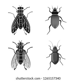 Isolated object of insect and fly icon. Collection of insect and element stock vector illustration.