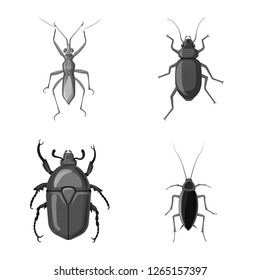 Isolated object of insect and fly icon. Collection of insect and element vector icon for stock.