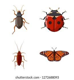 Isolated object of insect and fly icon. Collection of insect and element stock vector illustration.