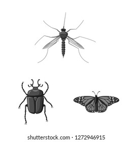 Isolated object of insect and fly icon. Set of insect and element stock symbol for web.