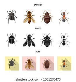 Isolated object of insect and fly icon. Collection of insect and element stock symbol for web.