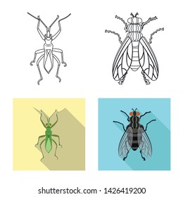 Isolated object of insect and fly icon. Collection of insect and element stock symbol for web.