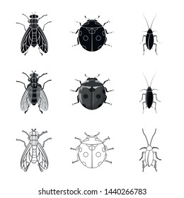 Isolated object of insect and fly icon. Set of insect and element stock symbol for web.