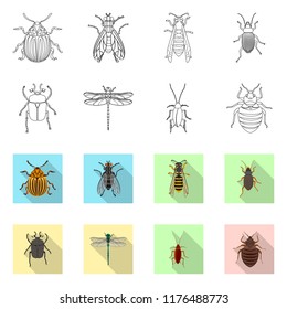 Isolated object of insect and fly logo. Set of insect and element stock vector illustration.