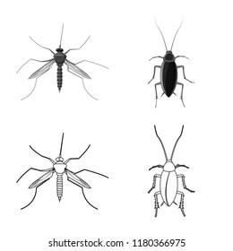 Isolated object of insect and fly logo. Collection of insect and element stock symbol for web.
