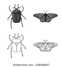 Isolated object of insect and fly logo. Set of insect and element stock vector illustration.