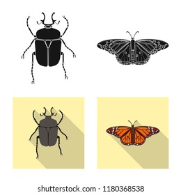 Isolated object of insect and fly logo. Collection of insect and element stock symbol for web.