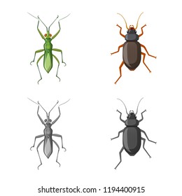 Isolated object of insect and fly logo. Set of insect and element vector icon for stock.