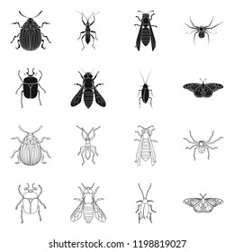 Isolated object of insect and fly logo. Set of insect and element vector icon for stock.