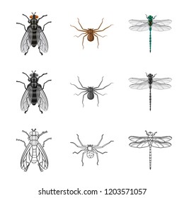 Isolated object of insect and fly logo. Set of insect and element stock symbol for web.