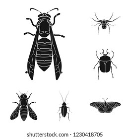 Isolated object of insect and fly logo. Collection of insect and element stock vector illustration.