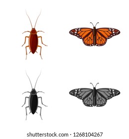 Isolated object of insect and fly logo. Collection of insect and element stock symbol for web.