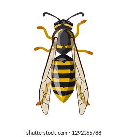 Isolated object of insect and fly logo. Collection of insect and element vector icon for stock.