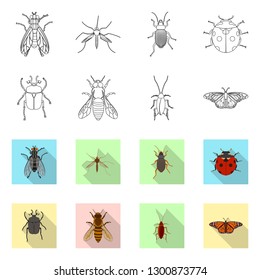 Isolated object of insect and fly logo. Set of insect and element vector icon for stock.
