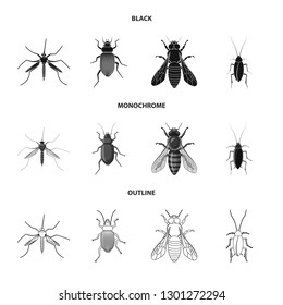 Isolated object of insect and fly logo. Set of insect and element vector icon for stock.